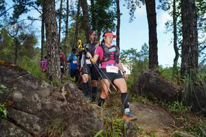 BIB: 5666
                            <button type="button" onclick="openModal(18964185)" class="btn btn-primary btn-sm float-right btn-popup" data-toggle="modal" data-target=".modal-high-quality">
                        <i class="fas fa-shopping-cart"></i> Add to Cart
                    </button>
                                            <button type="button" onclick="isThisMe(18964185, true)" class="btn btn-success btn-sm float-right btn-popup btn-isme hidden" data-toggle="tooltip" data-placement="bottom" title="นี่คือรูปของคุณใช่ไหม คลิกที่นี่เพื่อเอาเข้าอัลบั้ม">
                        <i class="fas fa-plus"></i> Add to album
                    </button>
                    <button type="button" onclick="isThisMe(18964185, false)" class="btn btn-warning btn-sm float-right btn-popup btn-isnotme hidden">
                        <i class="fas fa-ban"></i> Remove from album
                    </button>